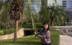 日本一姐rapper太多